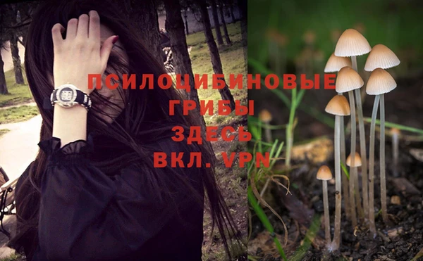 трава Беломорск