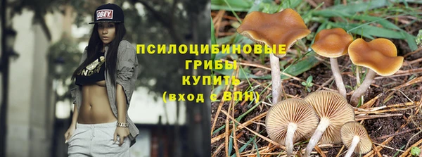 гидропоника Богданович