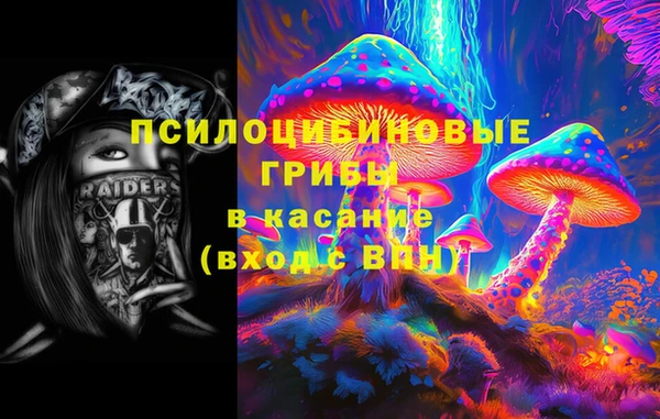 spice Белокуриха